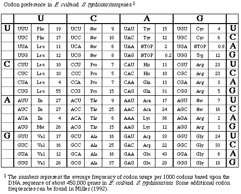 __Figure 3.__ Codon chart.  A chart for converting codons to amino acids, with the frequency of use indicated. The first codon position is on the left, the second on the top, and the third on the right; the full codon is reprinted in the interior boxes.  Adapted from Miller, J. 1992. A short course in bacterial genetics handbook. Cold Spring Harbor Laboratory Press, NY. 